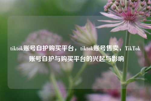 tiktok账号自护购买平台，tiktok账号售卖，TikTok 账号自护与购买平台的兴起与影响