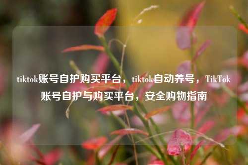 tiktok账号自护购买平台，tiktok自动养号，TikTok账号自护与购买平台，安全购物指南