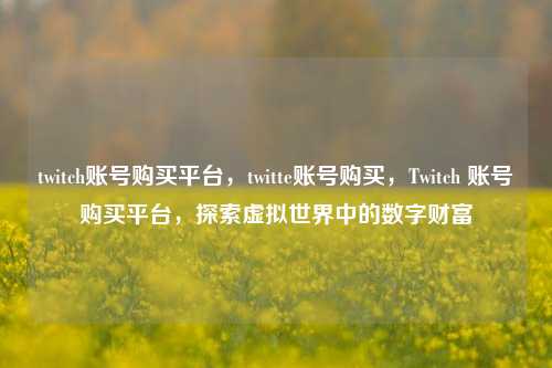 twitch账号购买平台，twitte账号购买，Twitch 账号购买平台，探索虚拟世界中的数字财富