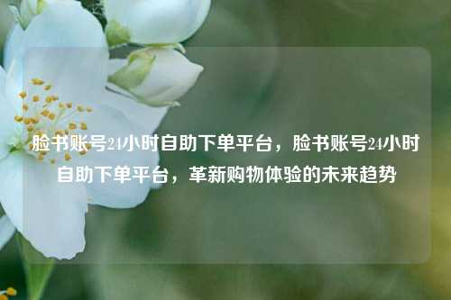 脸书账号24小时自助下单平台，脸书账号24小时自助下单平台，革新购物体验的未来趋势