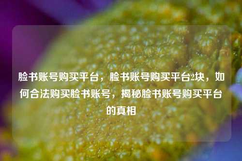 脸书账号购买平台，脸书账号购买平台2块，如何合法购买脸书账号，揭秘脸书账号购买平台的真相
