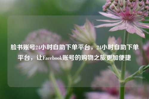 脸书账号24小时自助下单平台，24小时自助下单平台，让Facebook账号的购物之旅更加便捷