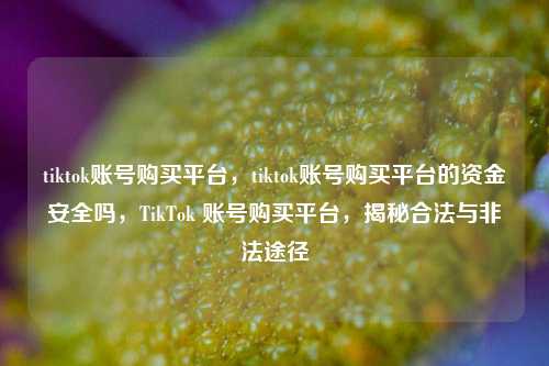 tiktok账号购买平台，tiktok账号购买平台的资金安全吗，TikTok 账号购买平台，揭秘合法与非法途径