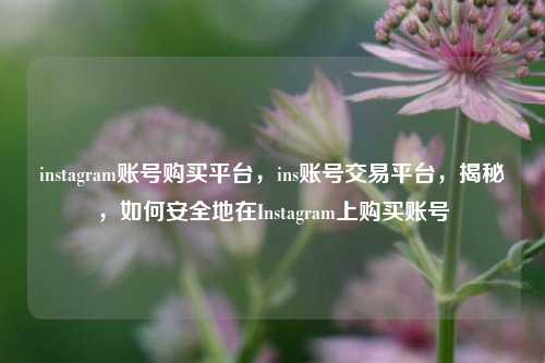 instagram账号购买平台，ins账号交易平台，揭秘，如何安全地在Instagram上购买账号
