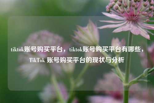 tiktok账号购买平台，tiktok账号购买平台有哪些，TikTok 账号购买平台的现状与分析