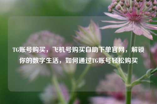 TG账号购买，飞机号购买自助下单官网，解锁你的数字生活，如何通过TG账号轻松购买