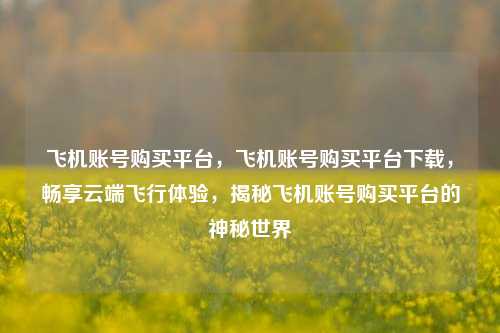 飞机账号购买平台，飞机账号购买平台下载，畅享云端飞行体验，揭秘飞机账号购买平台的神秘世界