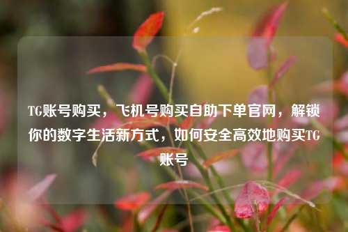 TG账号购买，飞机号购买自助下单官网，解锁你的数字生活新方式，如何安全高效地购买TG账号