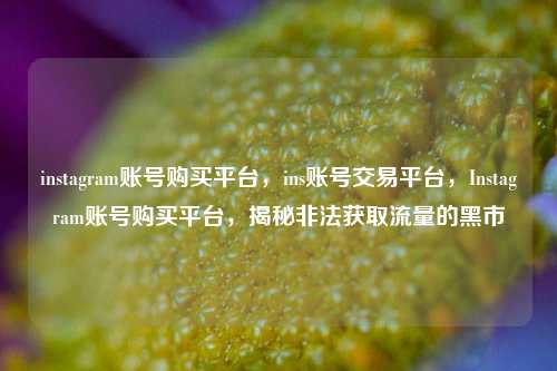 instagram账号购买平台，ins账号交易平台，Instagram账号购买平台，揭秘非法获取流量的黑市