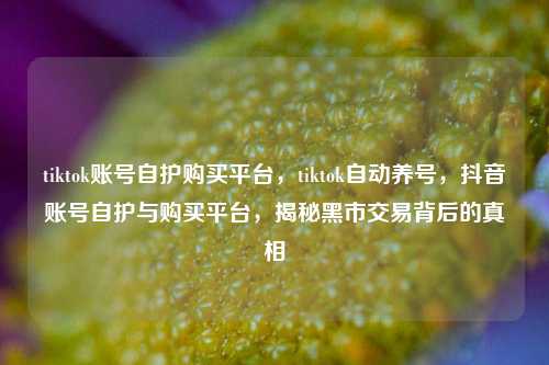 tiktok账号自护购买平台，tiktok自动养号，抖音账号自护与购买平台，揭秘黑市交易背后的真相
