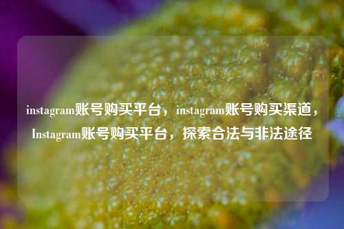 instagram账号购买平台，instagram账号购买渠道，Instagram账号购买平台，探索合法与非法途径