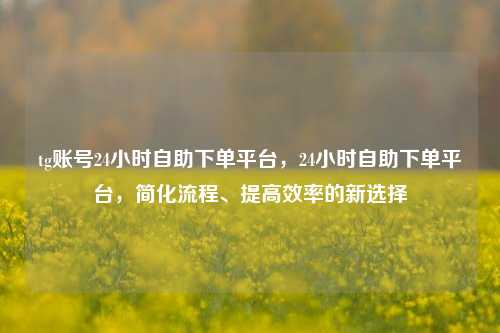 tg账号24小时自助下单平台，24小时自助下单平台，简化流程、提高效率的新选择