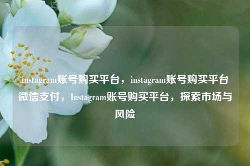 instagram账号购买平台，instagram账号购买平台微信支付，Instagram账号购买平台，探索市场与风险