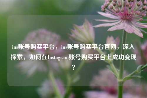 ins账号购买平台，ins账号购买平台官网，深入探索，如何在Instagram账号购买平台上成功变现？