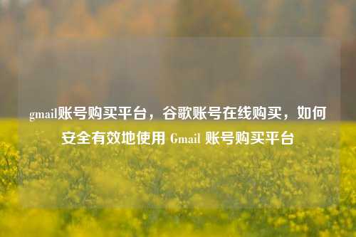 gmail账号购买平台，谷歌账号在线购买，如何安全有效地使用 Gmail 账号购买平台