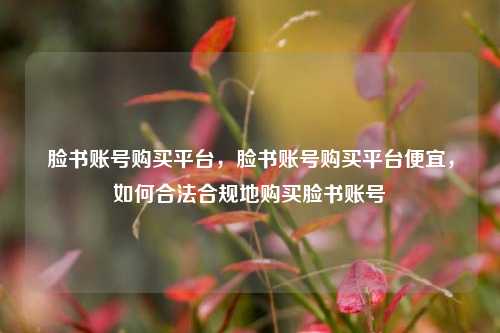 脸书账号购买平台，脸书账号购买平台便宜，如何合法合规地购买脸书账号