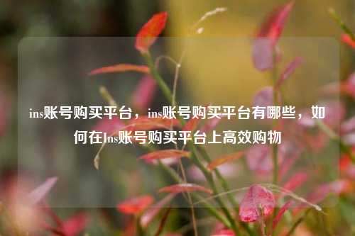 ins账号购买平台，ins账号购买平台有哪些，如何在Ins账号购买平台上高效购物