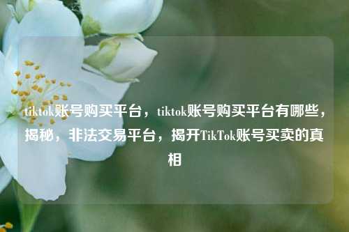 tiktok账号购买平台，tiktok账号购买平台有哪些，揭秘，非法交易平台，揭开TikTok账号买卖的真相