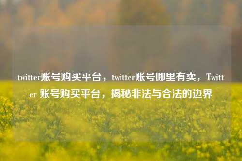 twitter账号购买平台，twitter账号哪里有卖，Twitter 账号购买平台，揭秘非法与合法的边界