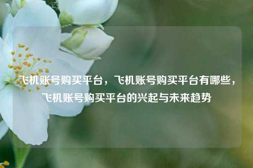 飞机账号购买平台，飞机账号购买平台有哪些，飞机账号购买平台的兴起与未来趋势