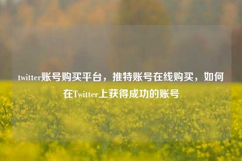 twitter账号购买平台，推特账号在线购买，如何在Twitter上获得成功的账号