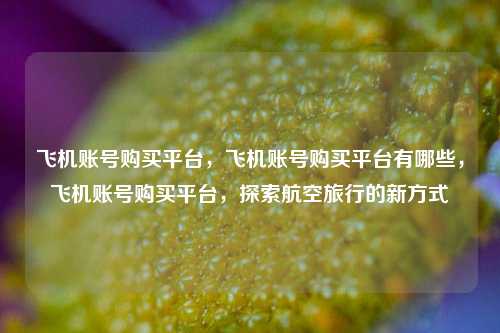 飞机账号购买平台，飞机账号购买平台有哪些，飞机账号购买平台，探索航空旅行的新方式