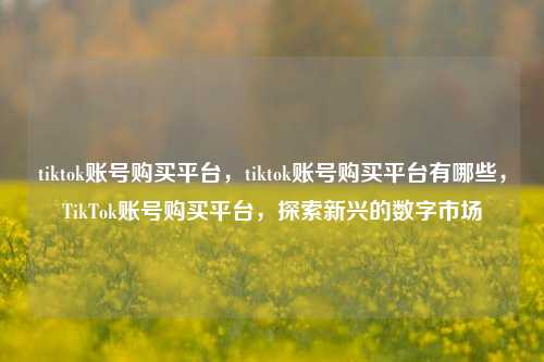 tiktok账号购买平台，tiktok账号购买平台有哪些，TikTok账号购买平台，探索新兴的数字市场