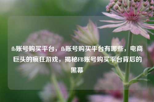 fb账号购买平台，fb账号购买平台有哪些，电商巨头的疯狂游戏，揭秘FB账号购买平台背后的黑幕