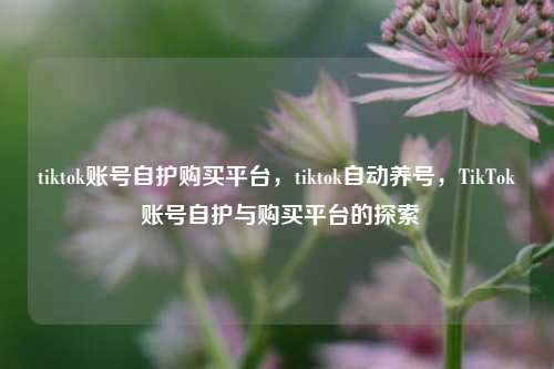 tiktok账号自护购买平台，tiktok自动养号，TikTok 账号自护与购买平台的探索