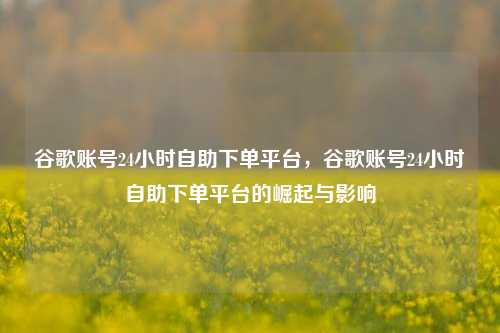 谷歌账号24小时自助下单平台，谷歌账号24小时自助下单平台的崛起与影响