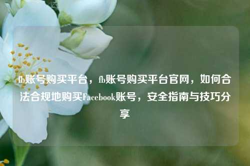 fb账号购买平台，fb账号购买平台官网，如何合法合规地购买Facebook账号，安全指南与技巧分享
