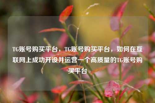 TG账号购买平台，TG账号购买平台，如何在互联网上成功开设并运营一个高质量的TG账号购买平台