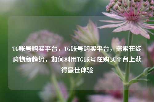 TG账号购买平台，TG账号购买平台，探索在线购物新趋势，如何利用TG账号在购买平台上获得最佳体验