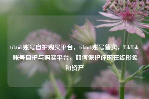 tiktok账号自护购买平台，tiktok账号售卖，TikTok 账号自护与购买平台，如何保护你的在线形象和资产
