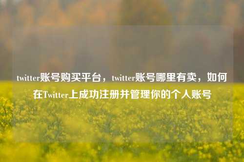twitter账号购买平台，twitter账号哪里有卖，如何在Twitter上成功注册并管理你的个人账号
