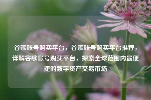 谷歌账号购买平台，谷歌账号购买平台推荐，详解谷歌账号购买平台，探索全球范围内最便捷的数字资产交易市场