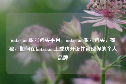 instagram账号购买平台，instagram帐号购买，揭秘，如何在Instagram上成功开设并管理你的个人品牌