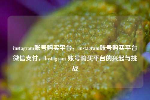 instagram账号购买平台，instagram账号购买平台微信支付，Instagram 账号购买平台的兴起与挑战