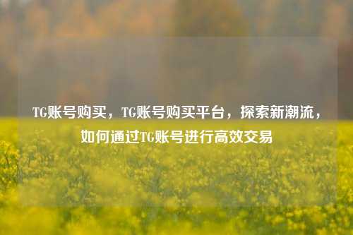TG账号购买，TG账号购买平台，探索新潮流，如何通过TG账号进行高效交易