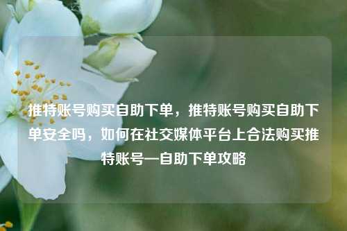 推特账号购买自助下单，推特账号购买自助下单安全吗，如何在社交媒体平台上合法购买推特账号—自助下单攻略