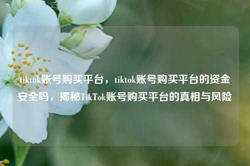 tiktok账号购买平台，tiktok账号购买平台的资金安全吗，揭秘TikTok账号购买平台的真相与风险