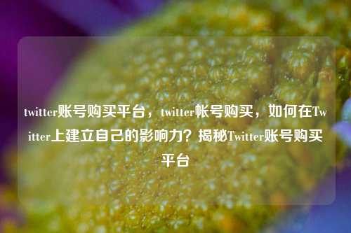 twitter账号购买平台，twitter帐号购买，如何在Twitter上建立自己的影响力？揭秘Twitter账号购买平台