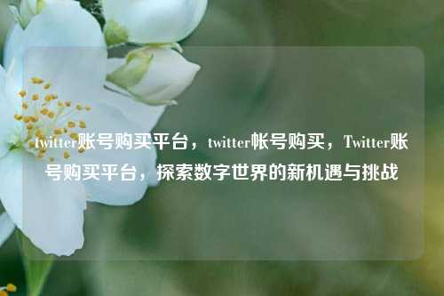 twitter账号购买平台，twitter帐号购买，Twitter账号购买平台，探索数字世界的新机遇与挑战