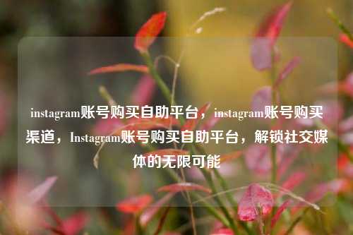 instagram账号购买自助平台，instagram账号购买渠道，Instagram账号购买自助平台，解锁社交媒体的无限可能