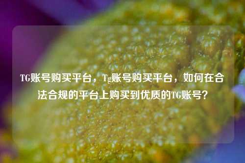TG账号购买平台，Tg账号购买平台，如何在合法合规的平台上购买到优质的TG账号？
