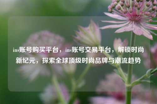 ins账号购买平台，ins账号交易平台，解锁时尚新纪元，探索全球顶级时尚品牌与潮流趋势