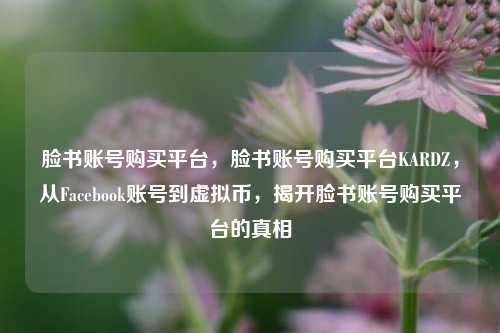 脸书账号购买平台，脸书账号购买平台KARDZ，从Facebook账号到虚拟币，揭开脸书账号购买平台的真相