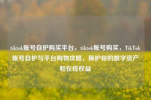 tiktok账号自护购买平台，tiktok帐号购买，TikTok账号自护与平台购物攻略，保护你的数字资产和在线权益