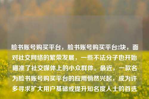 脸书账号购买平台，脸书账号购买平台2块，面对社交网络的繁荣发展，一些不法分子也开始瞄准了社交媒体上的小众群体。最近，一款名为脸书账号购买平台的应用悄然兴起，成为许多寻求扩大用户基础或提升知名度人士的首选