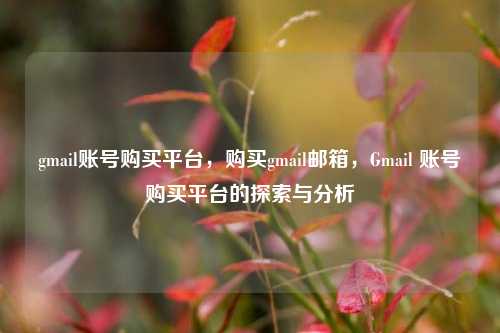 gmail账号购买平台，购买gmail邮箱，Gmail 账号购买平台的探索与分析